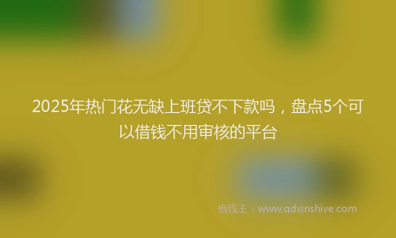 2025年热门花无缺上班贷不下款吗，盘点5个可以借钱不用审核的平台