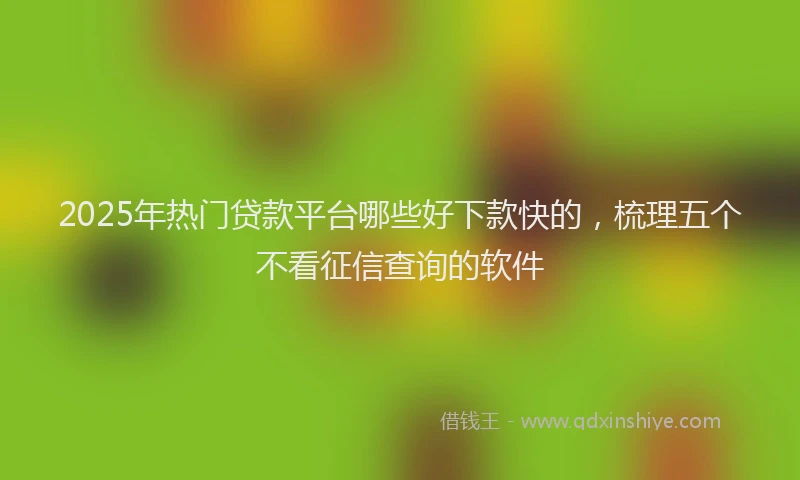 2025年热门贷款平台哪些好下款快的，梳理五个不看征信查询的软件