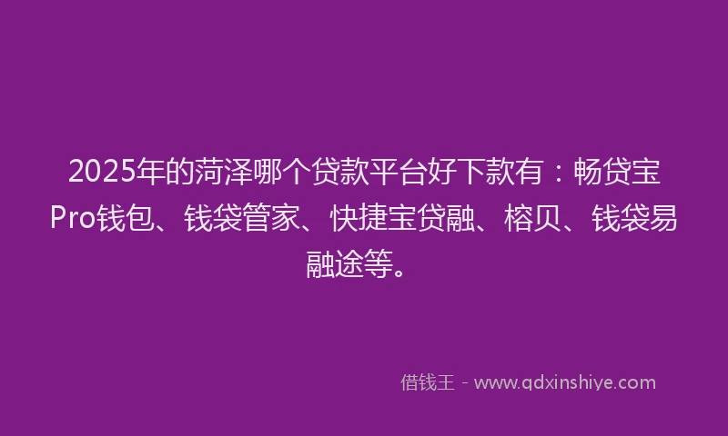 2025年的菏泽哪个贷款平台好下款有：畅贷宝Pro钱包、钱袋管家、快捷宝贷融、榕贝、钱袋易融途等。