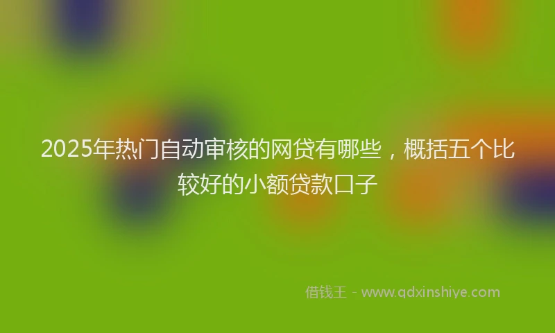 2025年热门自动审核的网贷有哪些，概括五个比较好的小额贷款口子