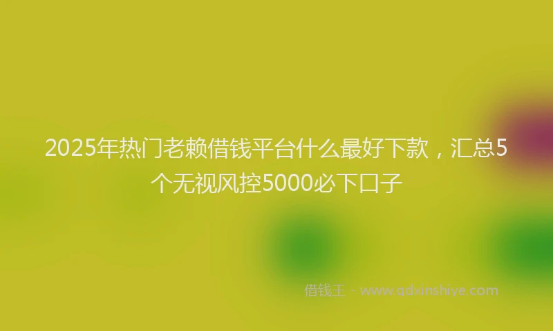 2025年热门老赖借钱平台什么最好下款，汇总5个无视风控5000必下口子