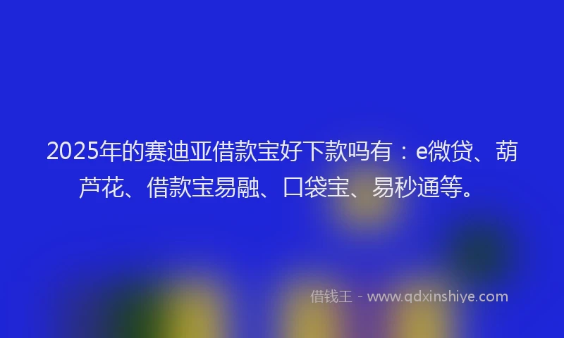 2025年的赛迪亚借款宝好下款吗有：e微贷、葫芦花、借款宝易融、口袋宝、易秒通等。