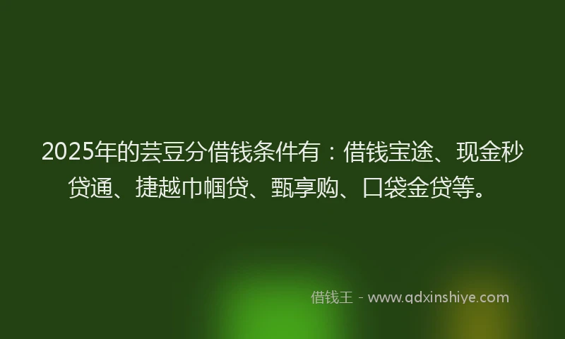 2025年的芸豆分借钱条件有：借钱宝途、现金秒贷通、捷越巾帼贷、甄享购、口袋金贷等。