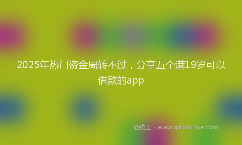 2025年热门资金周转不过，分享五个满19岁可以借款的app