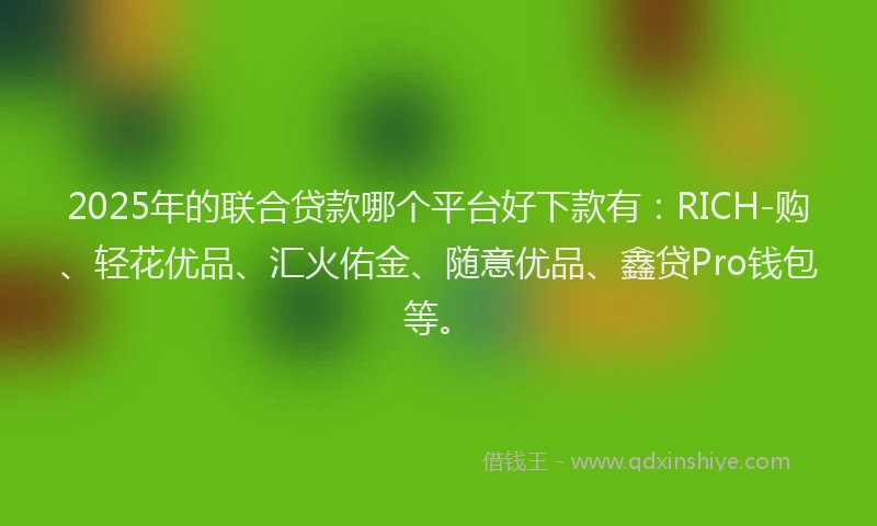 2025年的联合贷款哪个平台好下款有：RICH-购、轻花优品、汇火佑金、随意优品、鑫贷Pro钱包等。