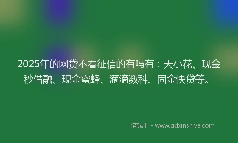2025年的网贷不看征信的有吗有：天小花、现金秒借融、现金蜜蜂、滴滴数科、固金快贷等。