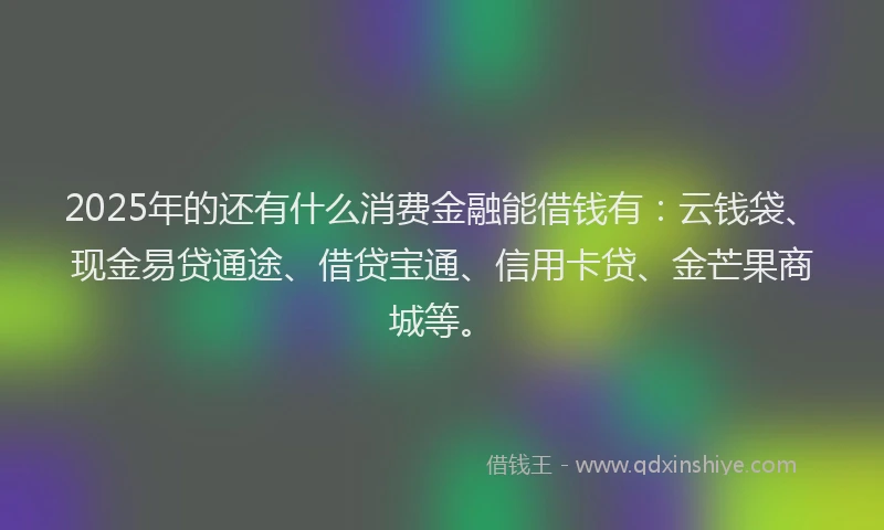 2025年的还有什么消费金融能借钱有：云钱袋、现金易贷通途、借贷宝通、信用卡贷、金芒果商城等。