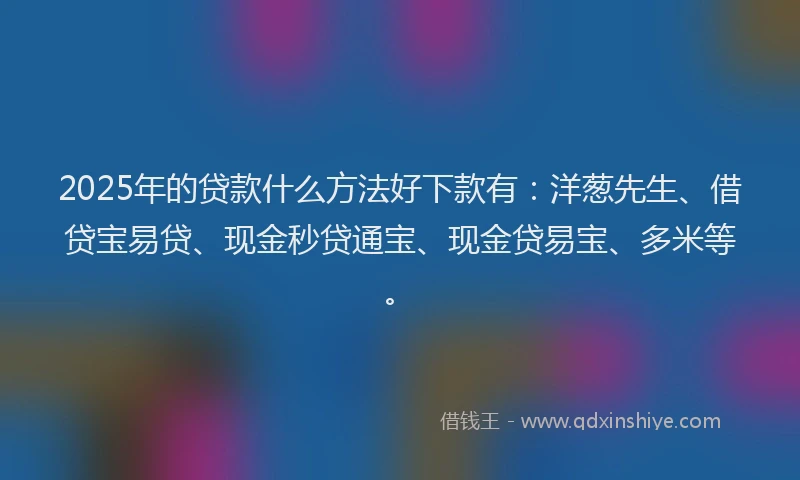 2025年的贷款什么方法好下款有：洋葱先生、借贷宝易贷、现金秒贷通宝、现金贷易宝、多米等。