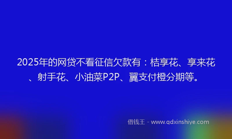 2025年的网贷不看征信欠款有：桔享花、享来花、射手花、小油菜P2P、翼支付橙分期等。