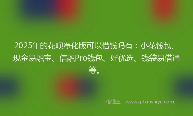 2025年的花呗净化版可以借钱吗有：小花钱包、现金易融宝、信融Pro钱包、好优选、钱袋易借通等。