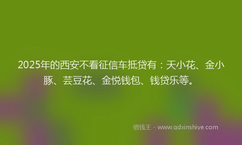 2025年的西安不看征信车抵贷有：天小花、金小豚、芸豆花、金悦钱包、钱贷乐等。