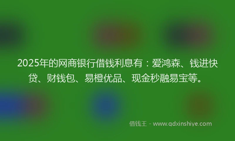 2025年的网商银行借钱利息有：爱鸿森、钱进快贷、财钱包、易橙优品、现金秒融易宝等。