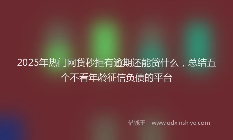 2025年热门网贷秒拒有逾期还能贷什么，总结五个不看年龄征信负债的平台
