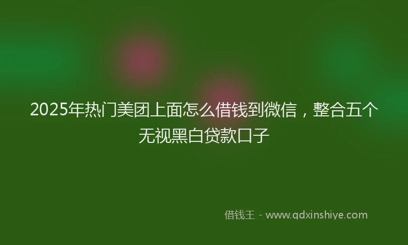 2025年热门美团上面怎么借钱到微信，整合五个无视黑白贷款口子