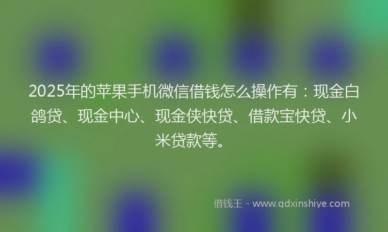 2025年的苹果手机微信借钱怎么操作有：现金白鸽贷、现金中心、现金侠快贷、借款宝快贷、小米贷款等。