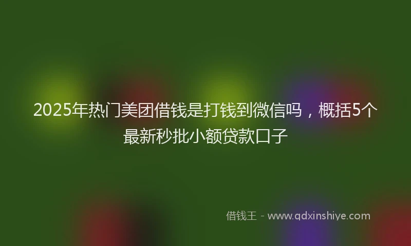 2025年热门美团借钱是打钱到微信吗，概括5个最新秒批小额贷款口子