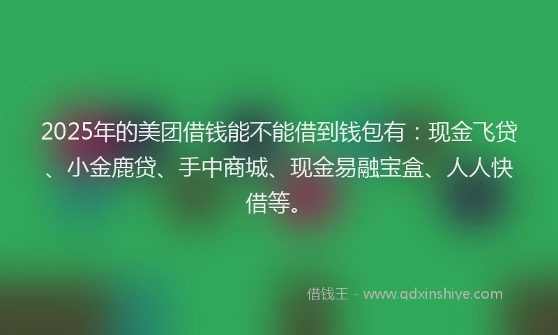 2025年的美团借钱能不能借到钱包有：现金飞贷、小金鹿贷、手中商城、现金易融宝盒、人人快借等。