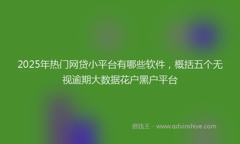 2025年热门网贷小平台有哪些软件，概括五个无视逾期大数据花户黑户平台