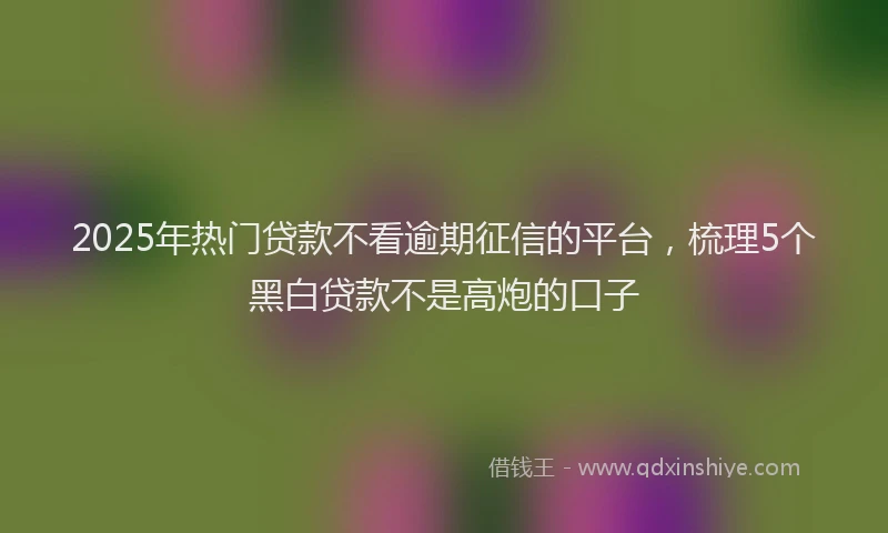 2025年热门贷款不看逾期征信的平台，梳理5个黑白贷款不是高炮的口子