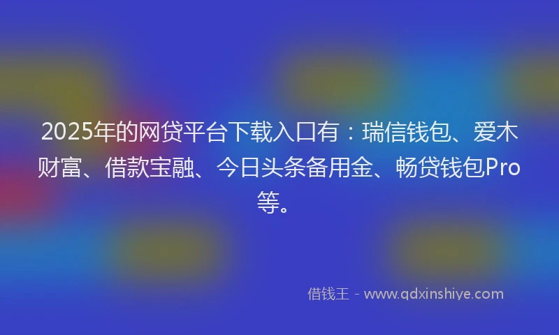 2025年的网贷平台下载入口有：瑞信钱包、爱木财富、借款宝融、今日头条备用金、畅贷钱包Pro等。