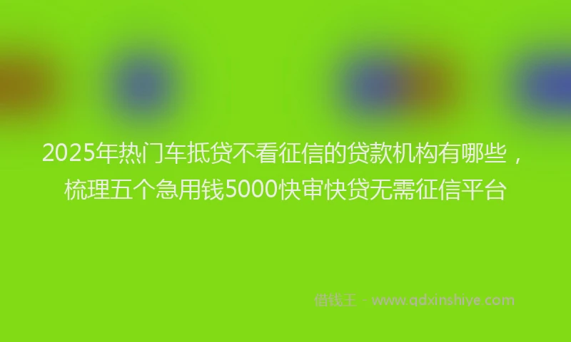 2025年热门车抵贷不看征信的贷款机构有哪些，梳理五个急用钱5000快审快贷无需征信平台