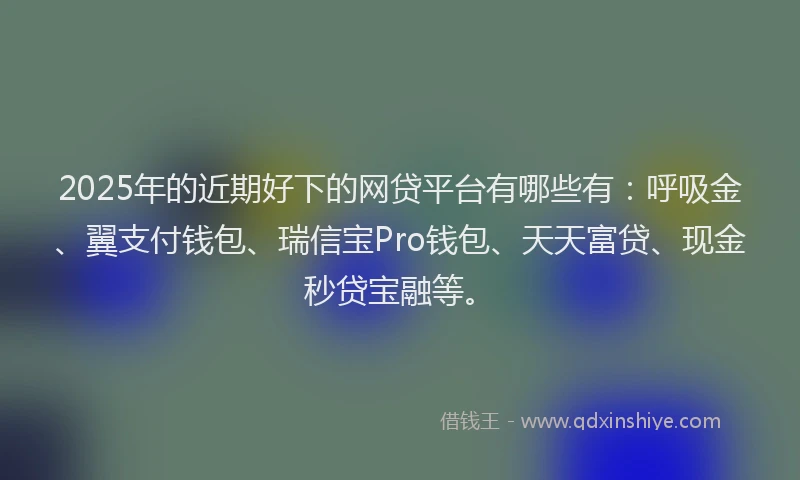 2025年的近期好下的网贷平台有哪些有:呼吸金、翼支付钱包、瑞信宝Pro钱包、天天富贷、现金秒贷宝融等。