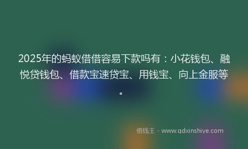 2025年的蚂蚁借借容易下款吗有：小花钱包、融悦贷钱包、借款宝速贷宝、用钱宝、向上金服等。