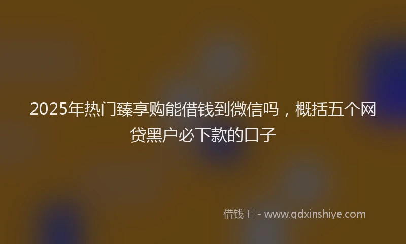 2025年热门臻享购能借钱到微信吗，概括五个网贷黑户必下款的口子