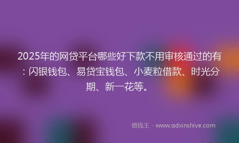 2025年的网贷平台哪些好下款不用审核通过的有：闪银钱包、易贷宝钱包、小麦粒借款、时光分期、新一花等。
