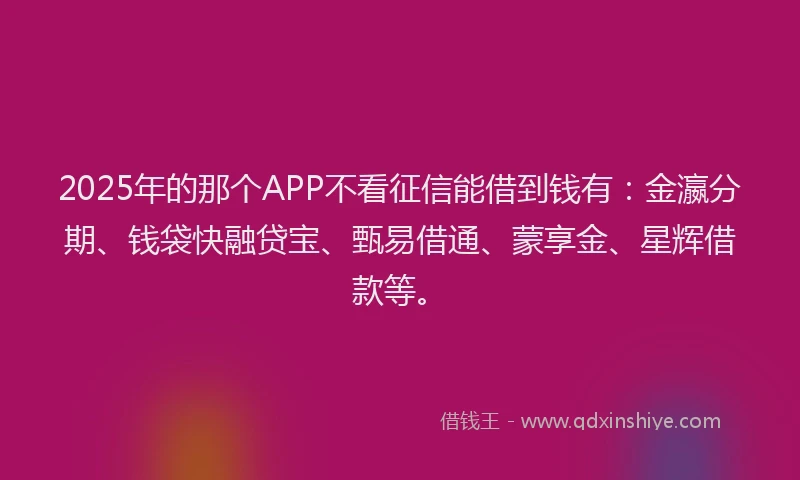 2025年的那个APP不看征信能借到钱有：金瀛分期、钱袋快融贷宝、甄易借通、蒙享金、星辉借款等。