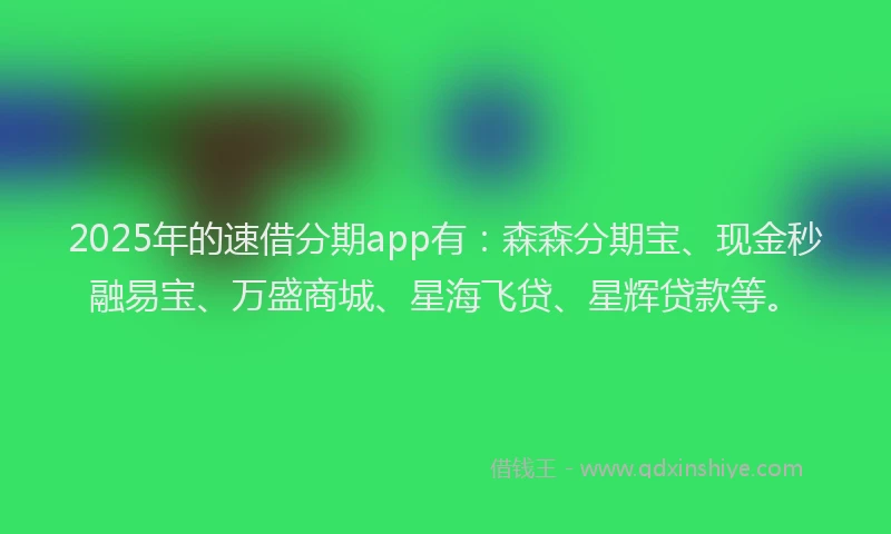 2025年的速借分期app有：森森分期宝、现金秒融易宝、万盛商城、星海飞贷、星辉贷款等。