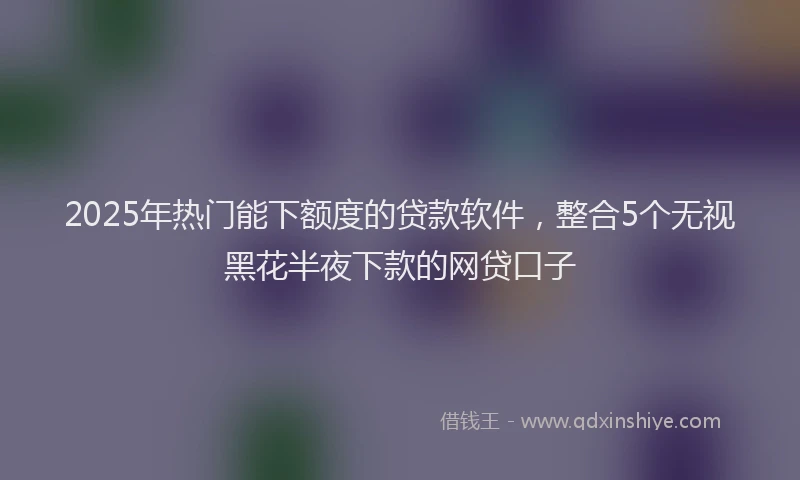 2025年热门能下额度的贷款软件，整合5个无视黑花半夜下款的网贷口子