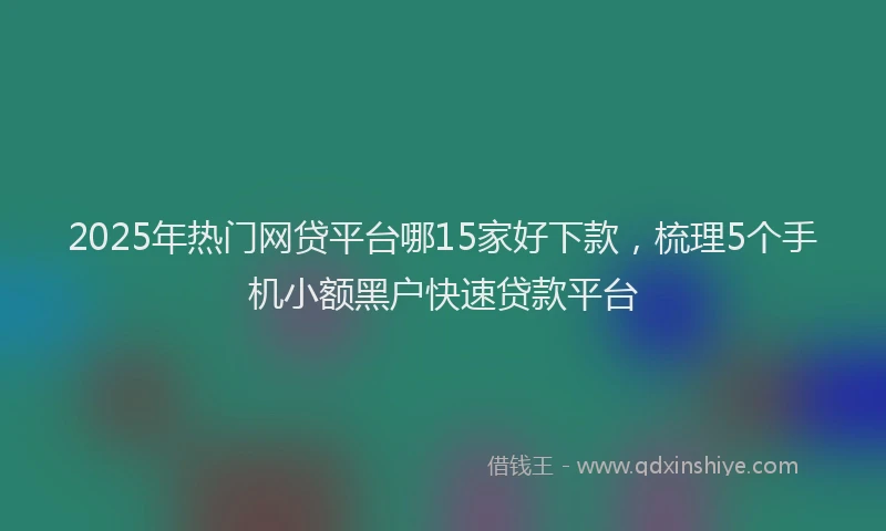 2025年热门网贷平台哪15家好下款，梳理5个手机小额黑户快速贷款平台