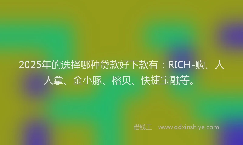 2025年的选择哪种贷款好下款有：RICH-购、人人拿、金小豚、榕贝、快捷宝融等。