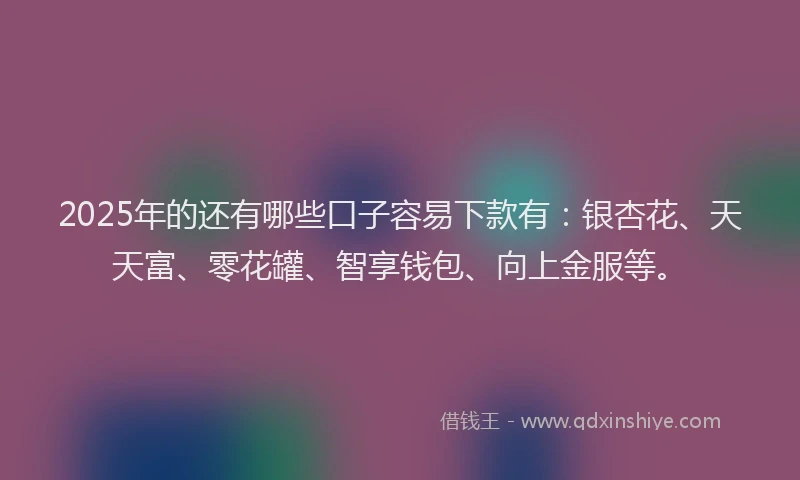 2025年的还有哪些口子容易下款有：银杏花、天天富、零花罐、智享钱包、向上金服等。
