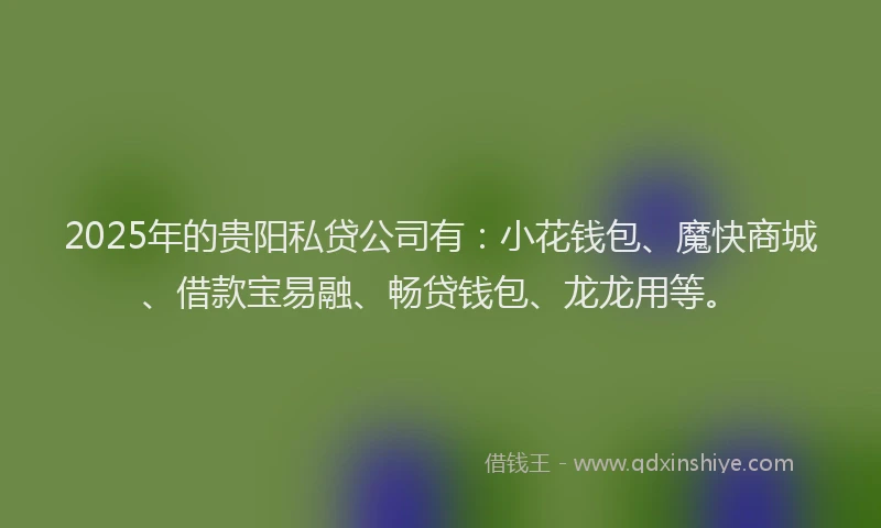 2025年的贵阳私贷公司有：小花钱包、魔快商城、借款宝易融、畅贷钱包、龙龙用等。