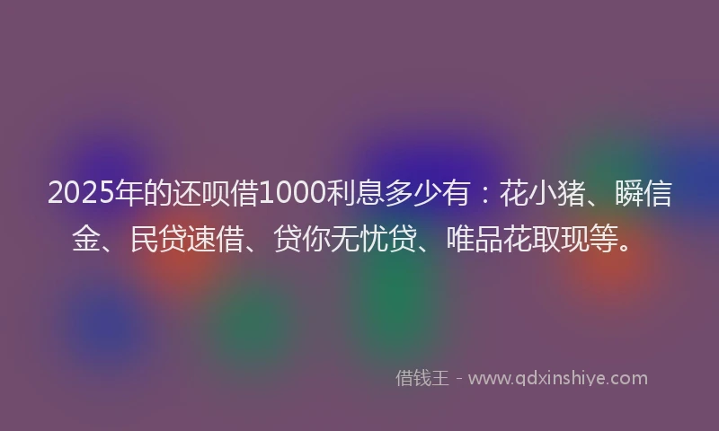 2025年的还呗借1000利息多少有：花小猪、瞬信金、民贷速借、贷你无忧贷、唯品花取现等。