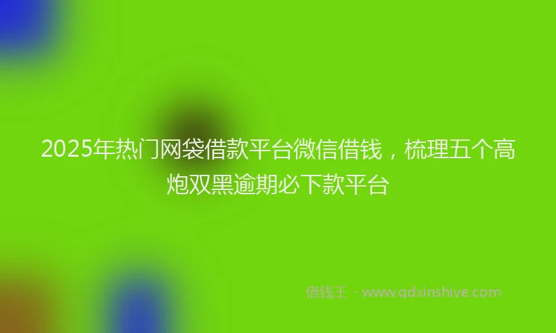 2025年热门网袋借款平台微信借钱，梳理五个高炮双黑逾期必下款平台