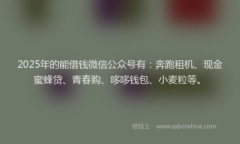 2025年的能借钱微信公众号有：奔跑租机、现金蜜蜂贷、青春购、哆哆钱包、小麦粒等。
