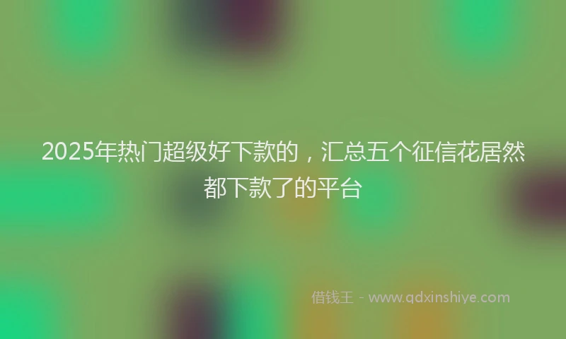 2025年热门超级好下款的，汇总五个征信花居然都下款了的平台