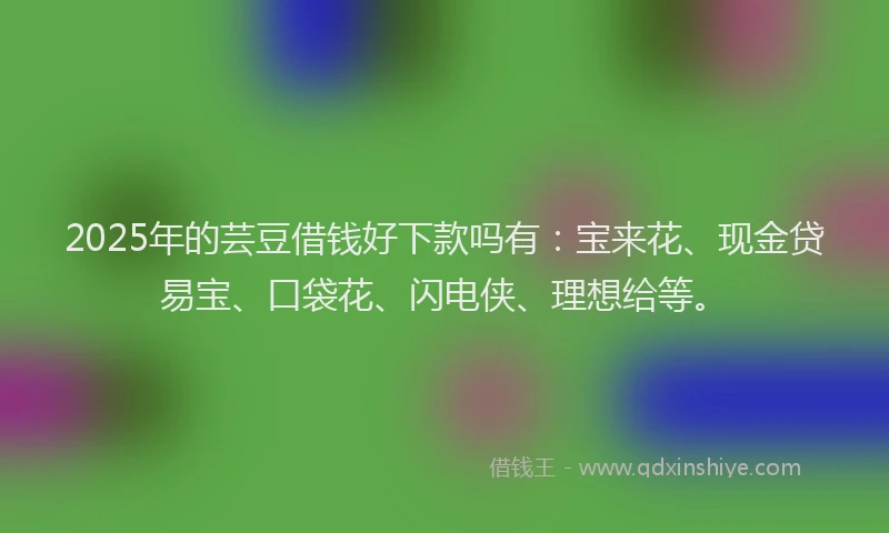 2025年的芸豆借钱好下款吗有：宝来花、现金贷易宝、口袋花、闪电侠、理想给等。