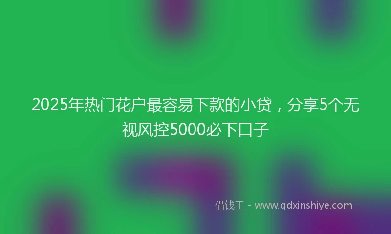 2025年热门花户最容易下款的小贷，分享5个无视风控5000必下口子