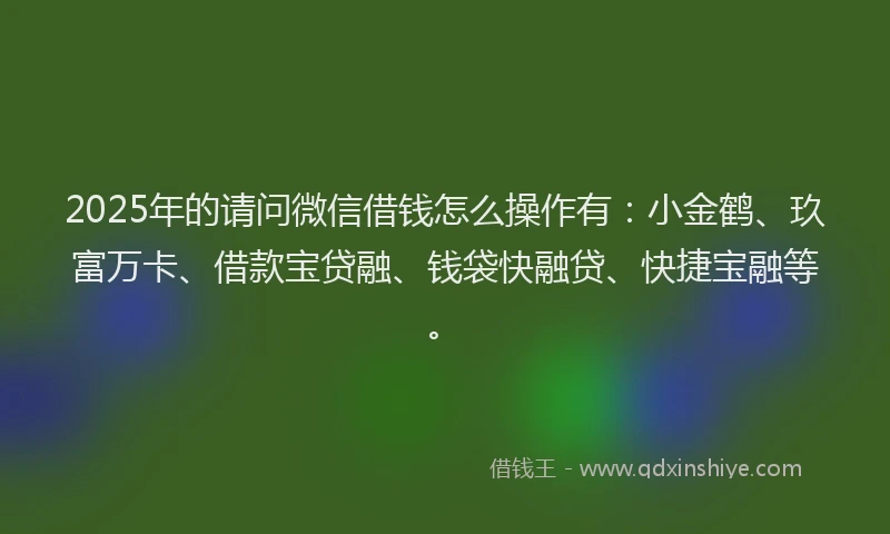 2025年的请问微信借钱怎么操作有：小金鹤、玖富万卡、借款宝贷融、钱袋快融贷、快捷宝融等。