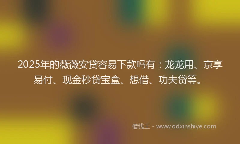 2025年的薇薇安贷容易下款吗有：龙龙用、京享易付、现金秒贷宝盒、想借、功夫贷等。