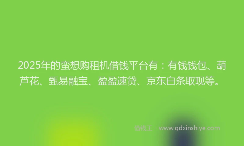 2025年的蛮想购租机借钱平台有：有钱钱包、葫芦花、甄易融宝、盈盈速贷、京东白条取现等。