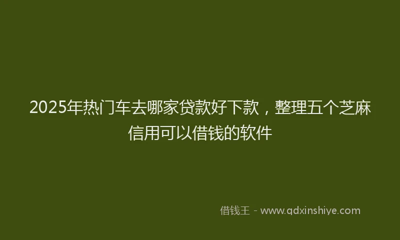 2025年热门车去哪家贷款好下款，整理五个芝麻信用可以借钱的软件