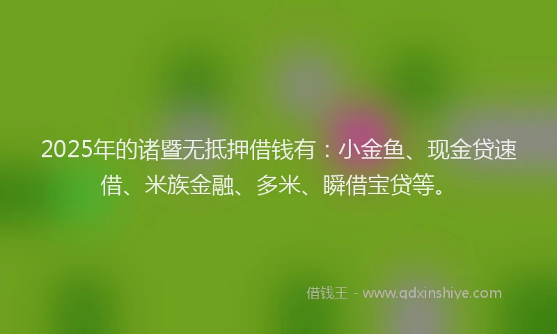 2025年的诸暨无抵押借钱有：小金鱼、现金贷速借、米族金融、多米、瞬借宝贷等。