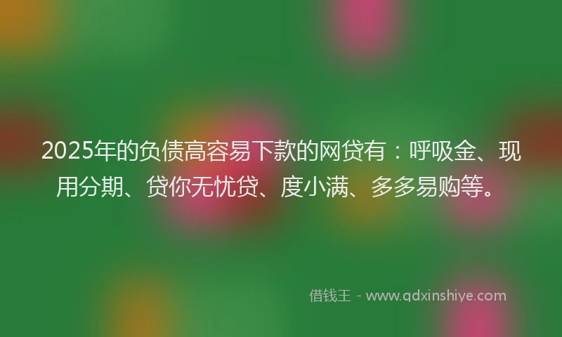 2025年的负债高容易下款的网贷有：呼吸金、现用分期、贷你无忧贷、度小满、多多易购等。