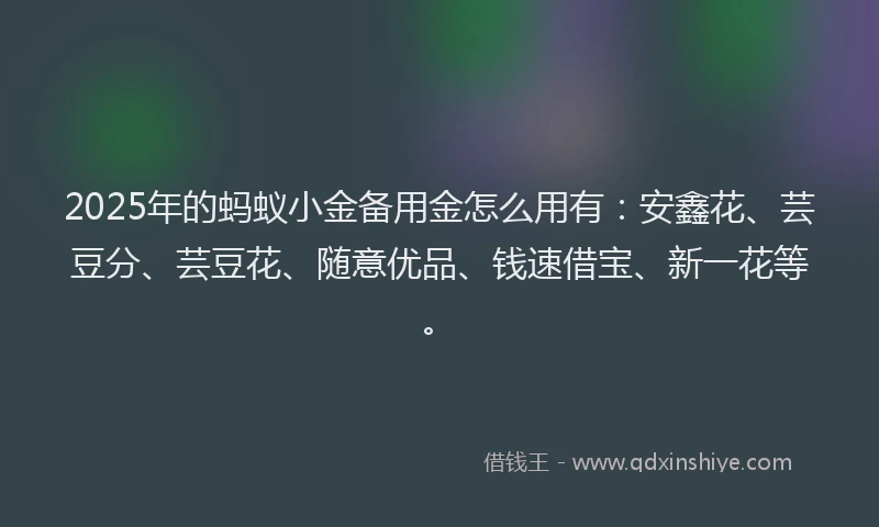 2025年的蚂蚁小金备用金怎么用有：安鑫花、芸豆分、芸豆花、随意优品、钱速借宝、新一花等。