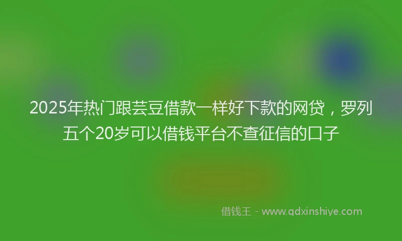 2025年热门跟芸豆借款一样好下款的网贷，罗列五个20岁可以借钱平台不查征信的口子